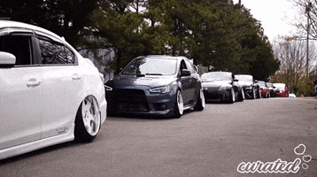 Show Stance GIF by Curated Stance!