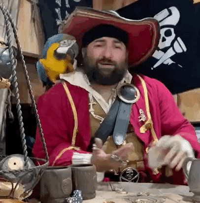 Pirate Parrot GIF by Pirate's Parley