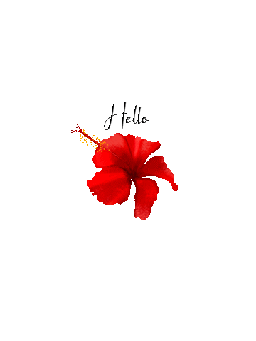 Hello Sticker