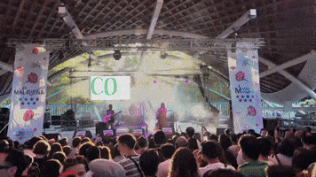 GIF by Más Madrid