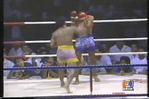 Kongtoranee GIF