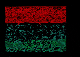 Science GIF