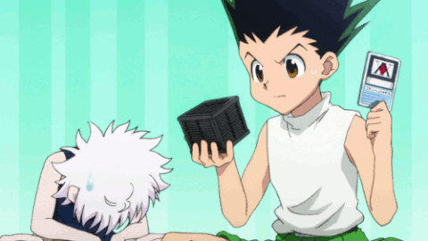 hunter x hunter