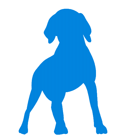 Dog Sticker by bluepearl pet hospital
