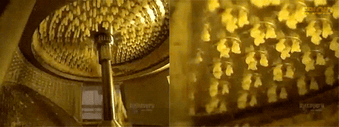 giphy.gif