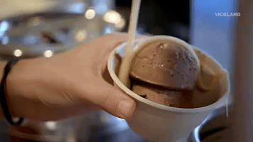 viceland GIF by THE ICE CREAM SHOW