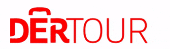 detourdetour GIF