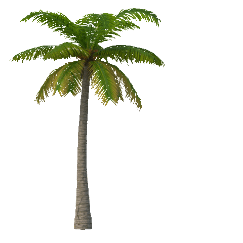 Belivehotels Belive Sticker