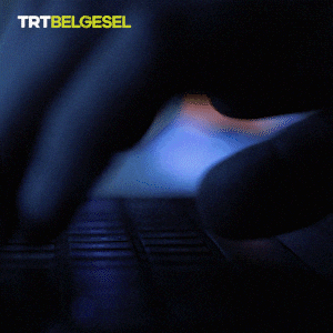 Search Engine Computer GIF by TRT