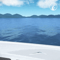 killer whale thedeep GIF by The Deep (Series)