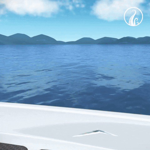 Killer Whale Thedeep GIF by The Deep (Series)