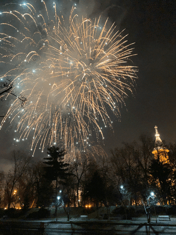 2020 GIF