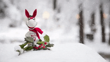 Snow Happy Holidays GIF by University of Central Missouri