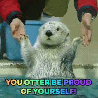 Congratulations-good-job GIFs - Get the best GIF on GIPHY