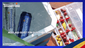 BereaTimisoreana GIF