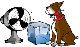 Anderson Refrimaq Sticker