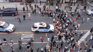 200.gif?cid=fc005b082c646c8b2d63446d0a96e0e9a62e5bde66c00414&rid=200.gif&ct=g