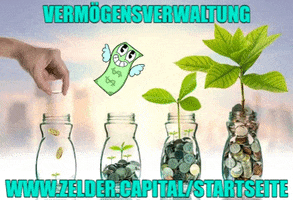 Geldanlage GIF