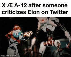 Twitter GIF