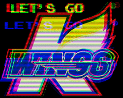 Hockey Nhl GIF by KalamazooWings