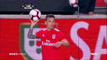 angry sl benfica GIF by Sport Lisboa e Benfica