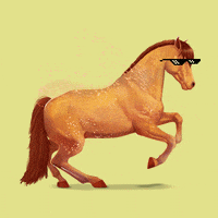 horse equideow GIF by Owlient