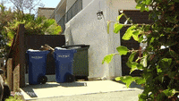 X Games Gifs Find Share On Giphy
