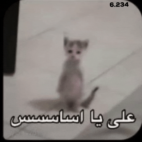 6234 GIF