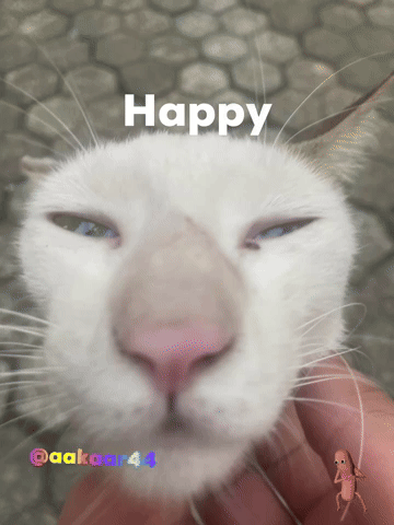 Happy GIF