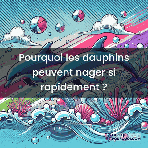 Dauphins GIF by ExpliquePourquoi.com