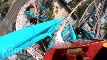 Roller Coaster GIF