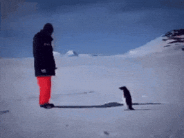 Thesaidenyt GIF