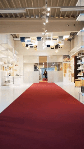 GIF by zellerpresent