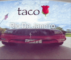 Taco GIF