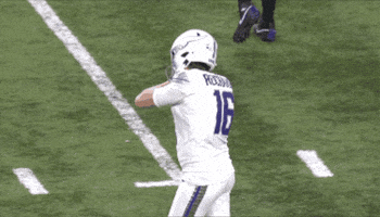 GIF by Minnesota Vikings