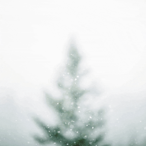 Christmas Tree GIF by STARCUTOUTSUK