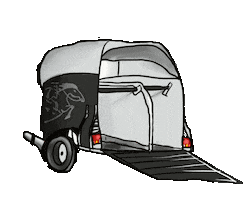 Animated Sticker