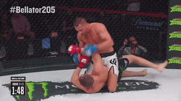 stop it big brother GIF by Bellator