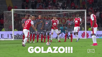 Santa Fe Football GIF