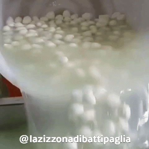 buffalo mozzarella cheese GIF by La Zizzona di Battipaglia®