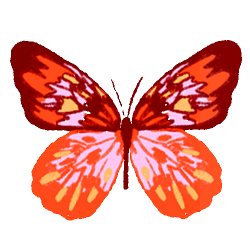Summer Love Sticker