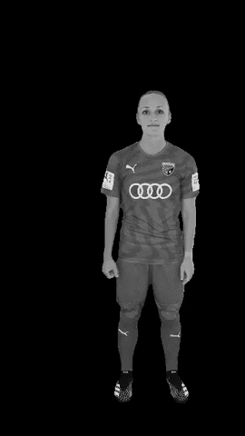 Schanzerinnen GIF