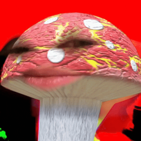 trippy mushrooms gif