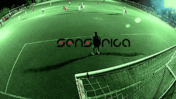 Montreal Sensorica GIF