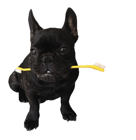 Dog Pet Sticker by Grafox