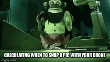 Memes GIF