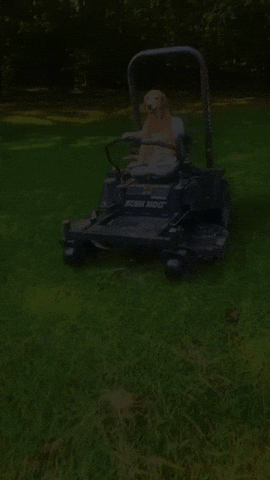 GIF by timothyco