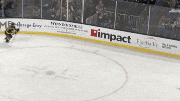 GIF by Ontario Reign