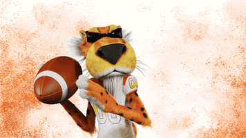 Super Bowl Football GIF by Cheetos