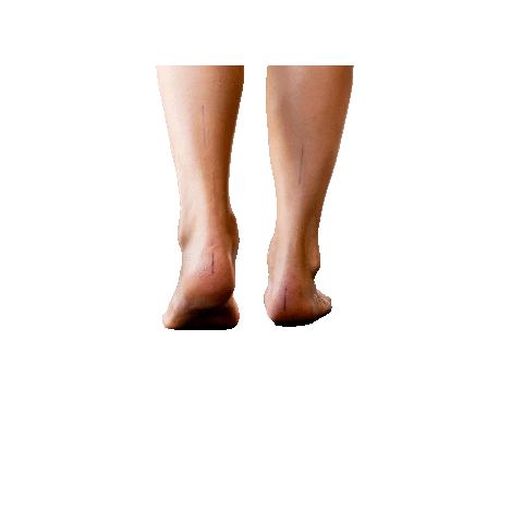 recupwaregem Sticker